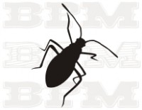 /album/fotogaleria-hmyz/hmyz-37-jpg/